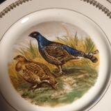 Game plates pl france