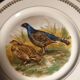Game plates pl france
