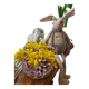 Pick flowers
