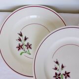 4 flat plates from Salins