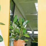 Miroir vintage 60x120cm