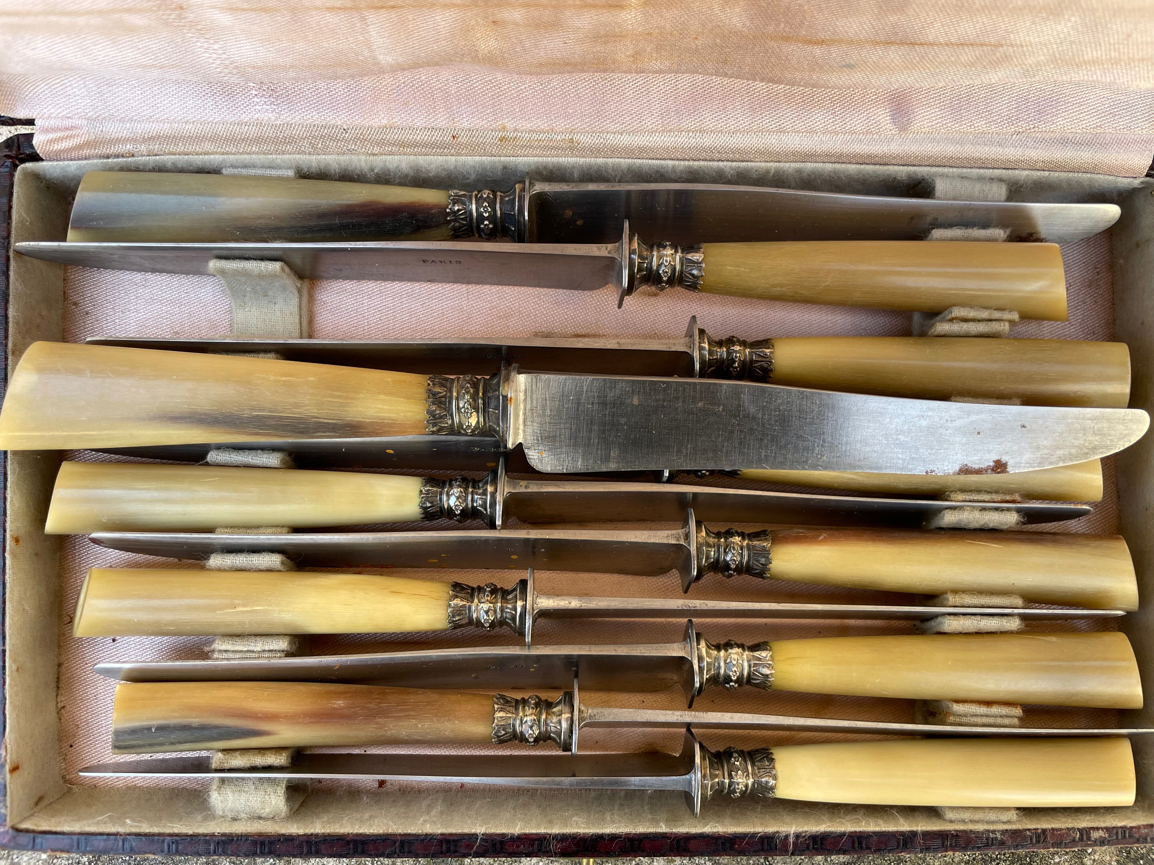 Lot of old horn knives late nineteenth early twentieth Paris