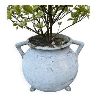 Jardinière Chaudron