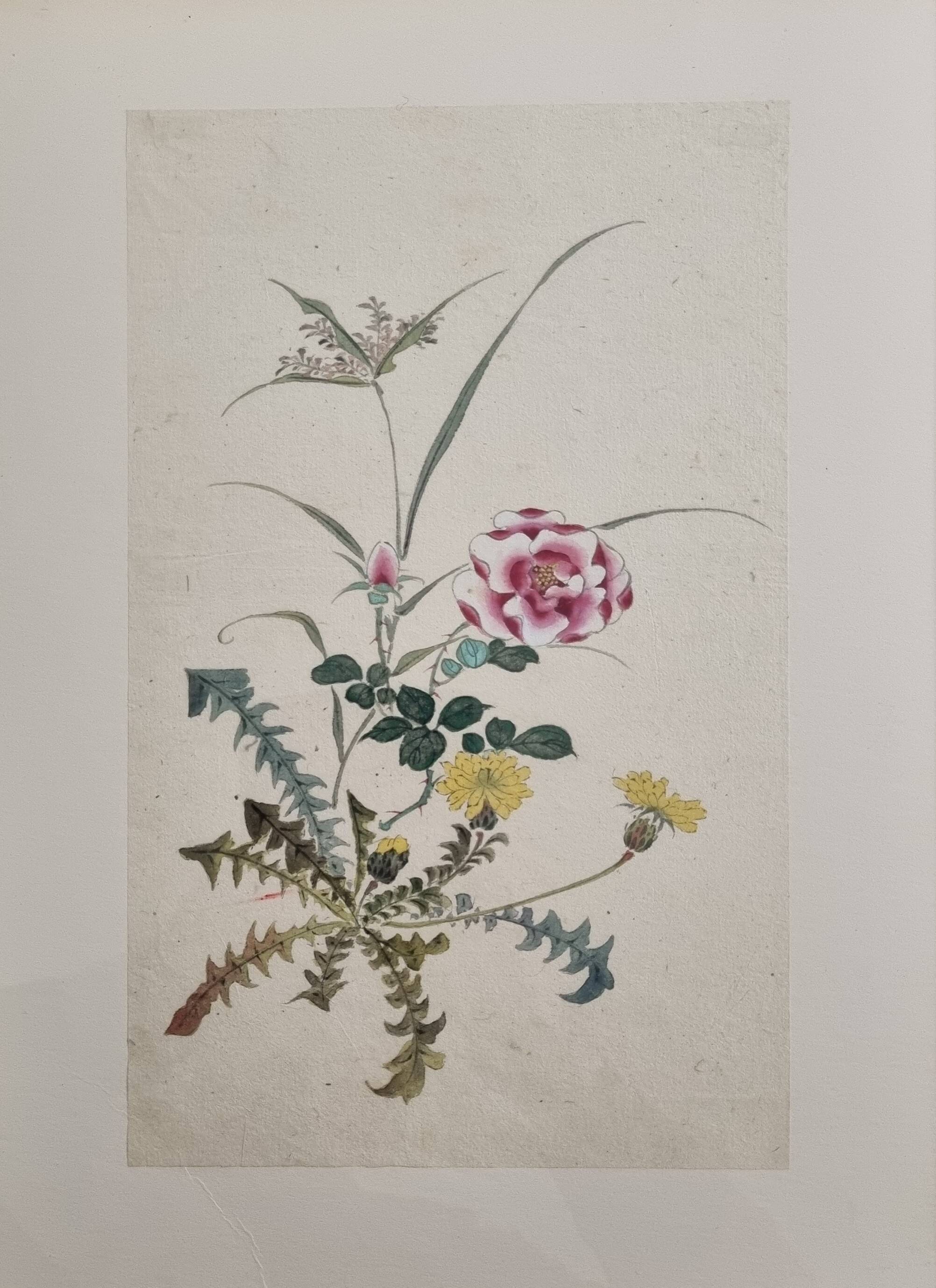 Aquarelle japonaise ancienne Composition florale, ère Meiji, 33 x 43 cm
