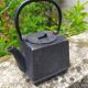 small cast iron teapot