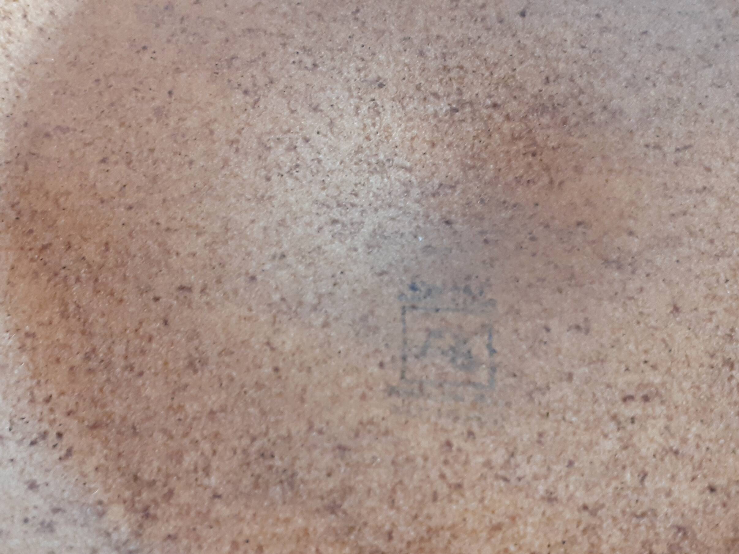 LONGCHAMP / Complete oyster service 12 plates 24.5 cm and a dish 33