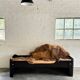 Bed/daybed by Jules Wabbes with Carine Boxy upholstery