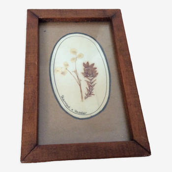 Dried flowers frame