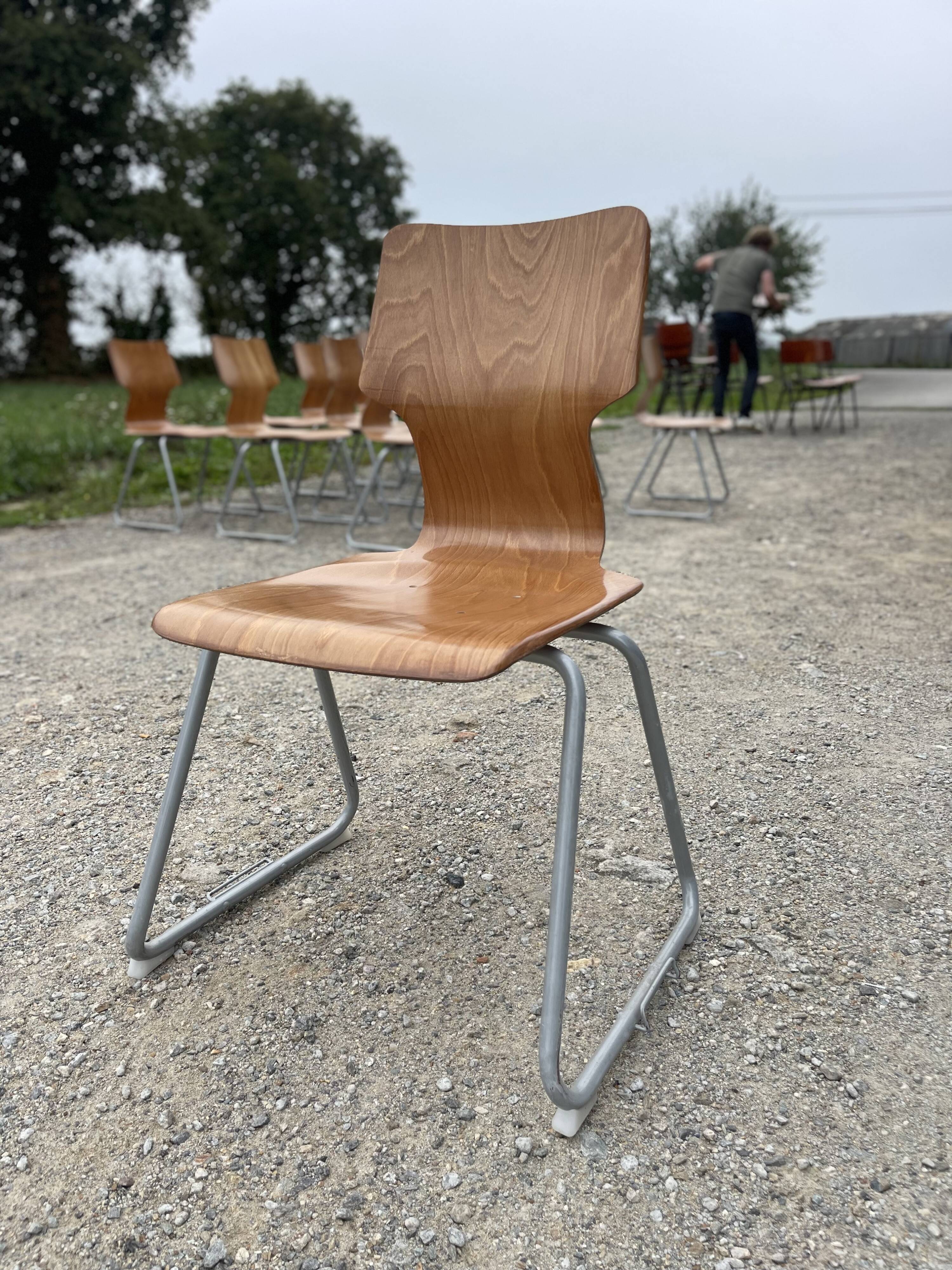 Chairs pagholz base sled light wood