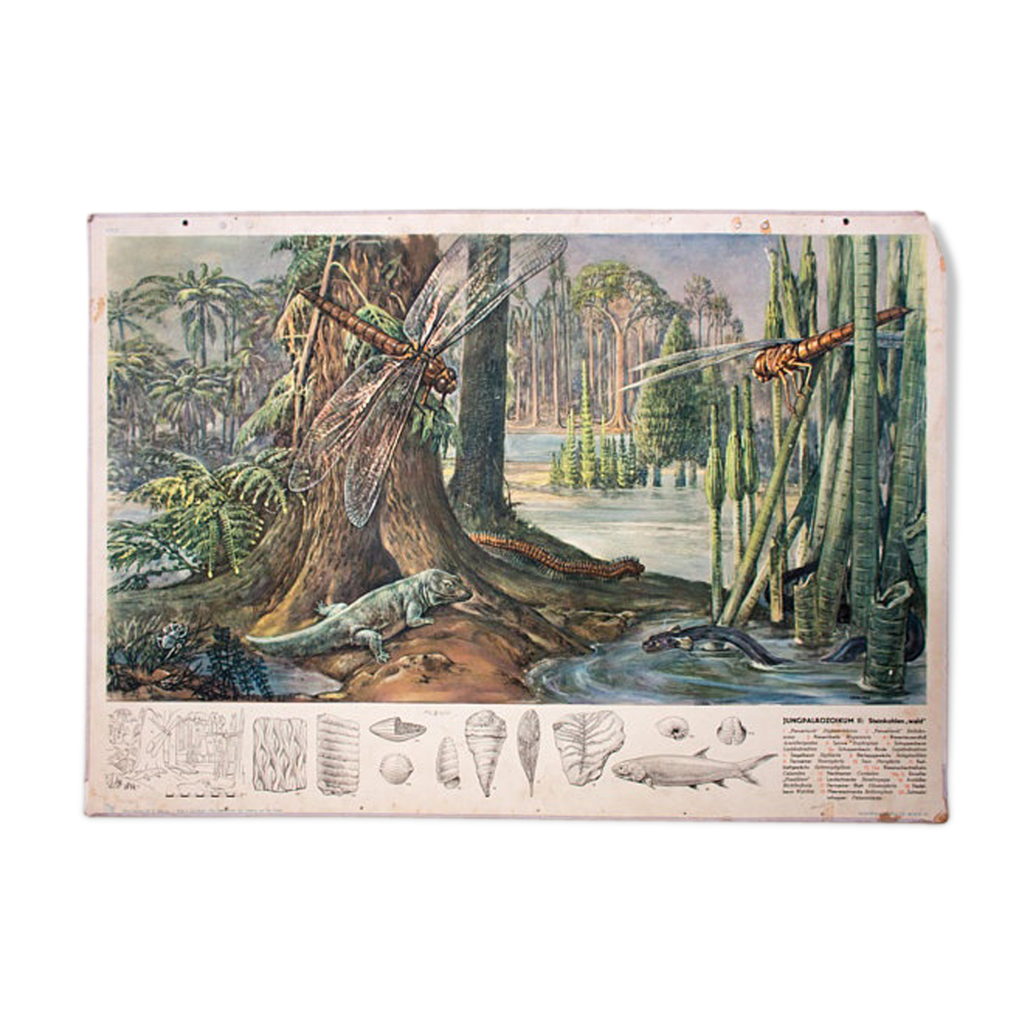 Affiche F. Zerritsch publié par Hoffmanndruc Vienne 1951