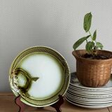 Green fish plates