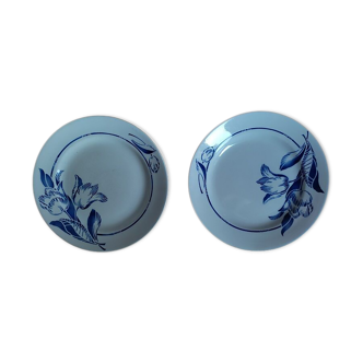 Assiettes plates fleur bleue en porcelaine St Amand dp 092284