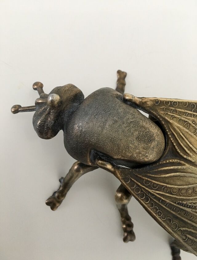 Golden ashtray fly