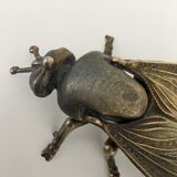 Golden ashtray fly