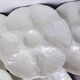 6 vintage oyster plates from the Gien factory