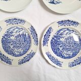 Vintage blue dinner plates