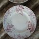 20 mismatched antique flat plates in ironstone