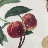 Lot of 6 plates botanical decoration