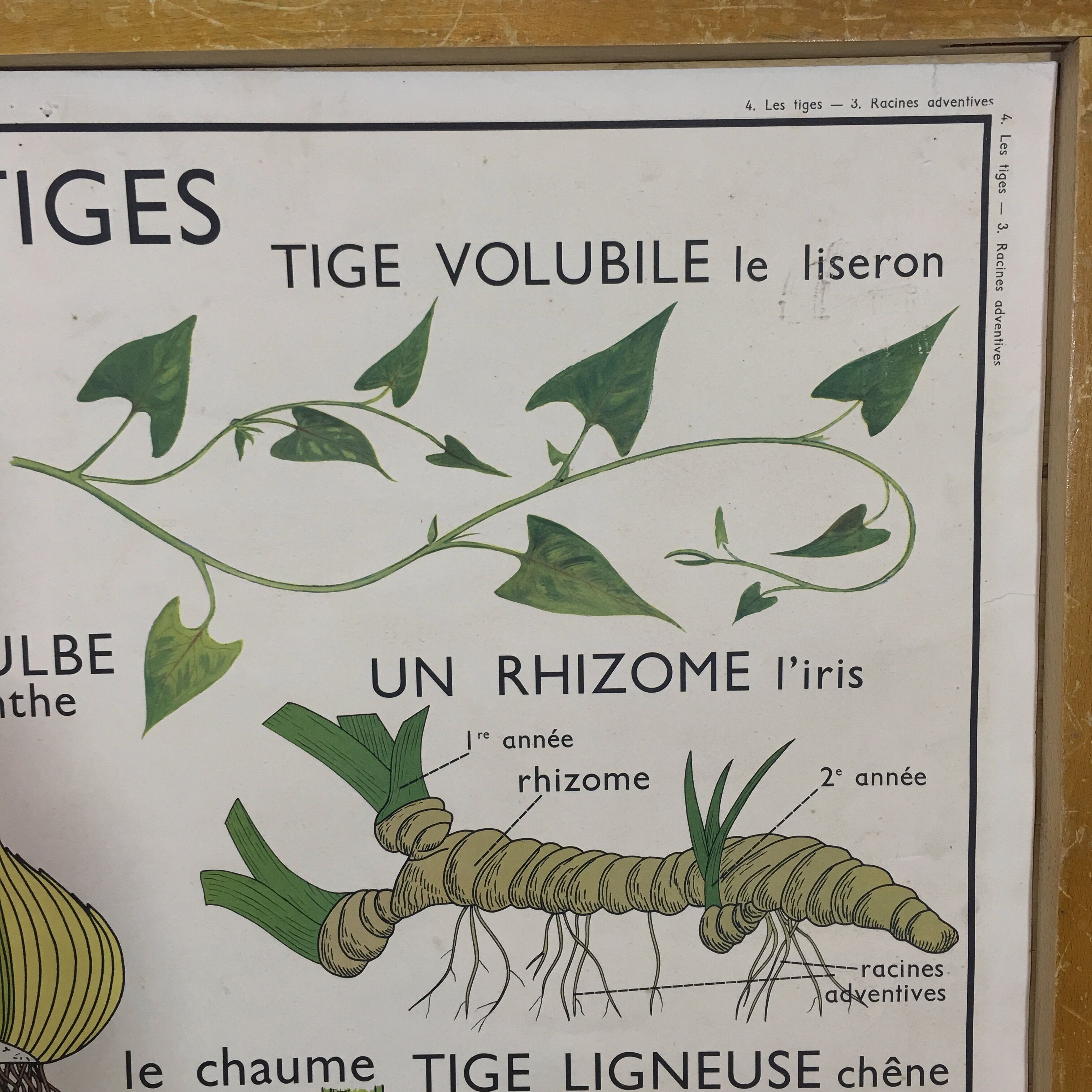 School poster by Rossignol double side