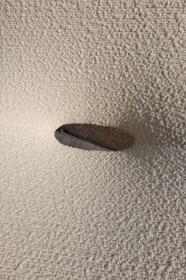 Chaise Amsterdam dite Tonneau par Pierre Guariche