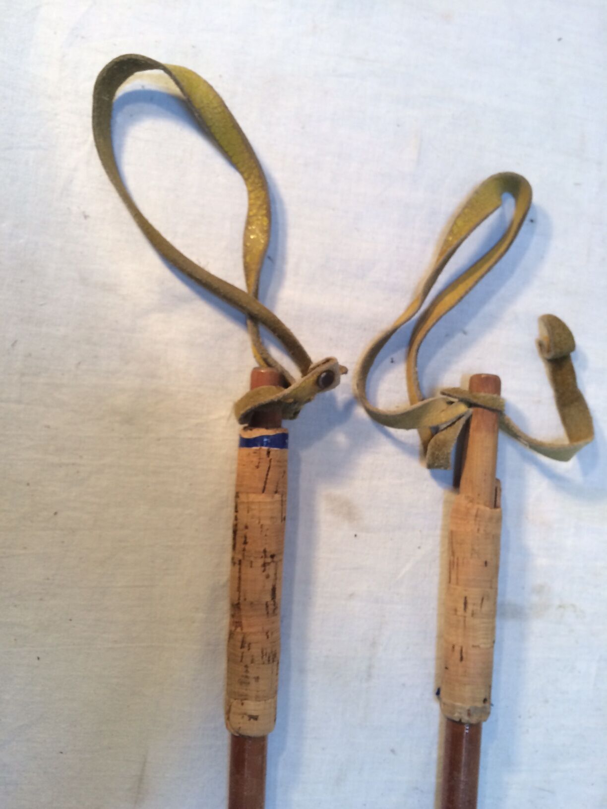 Old bamboo ski poles