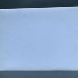 Silver gelatin photograph by Bernard Darot, Undergrowth, 20th century