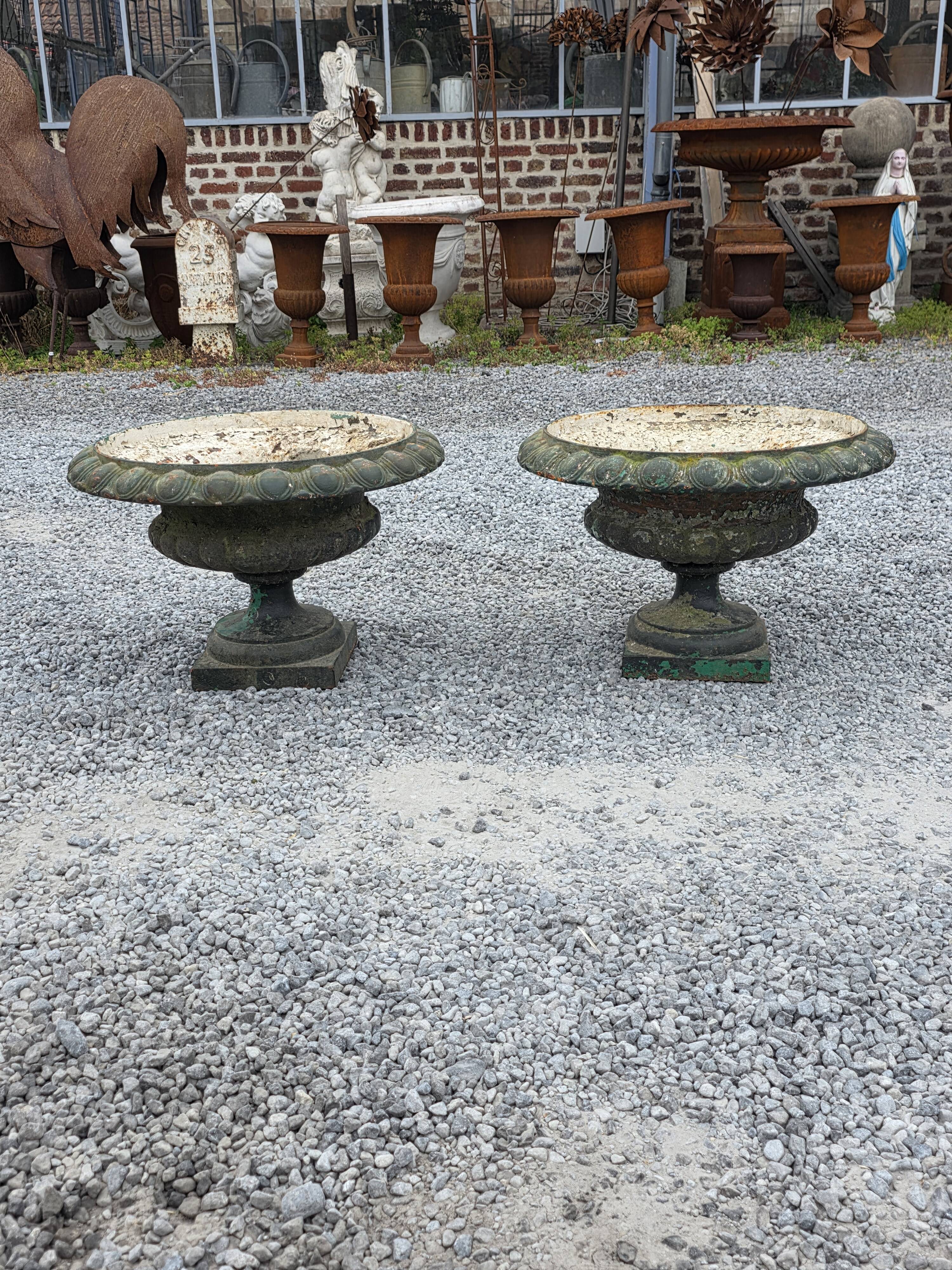 Pair of Medici vases in cast iron from the 19th century, 55cm wide.
