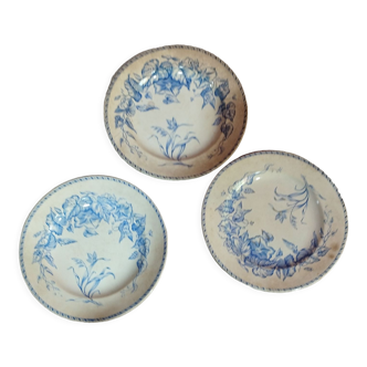 Lot de trois assiettes en porcelaine anglaise HB