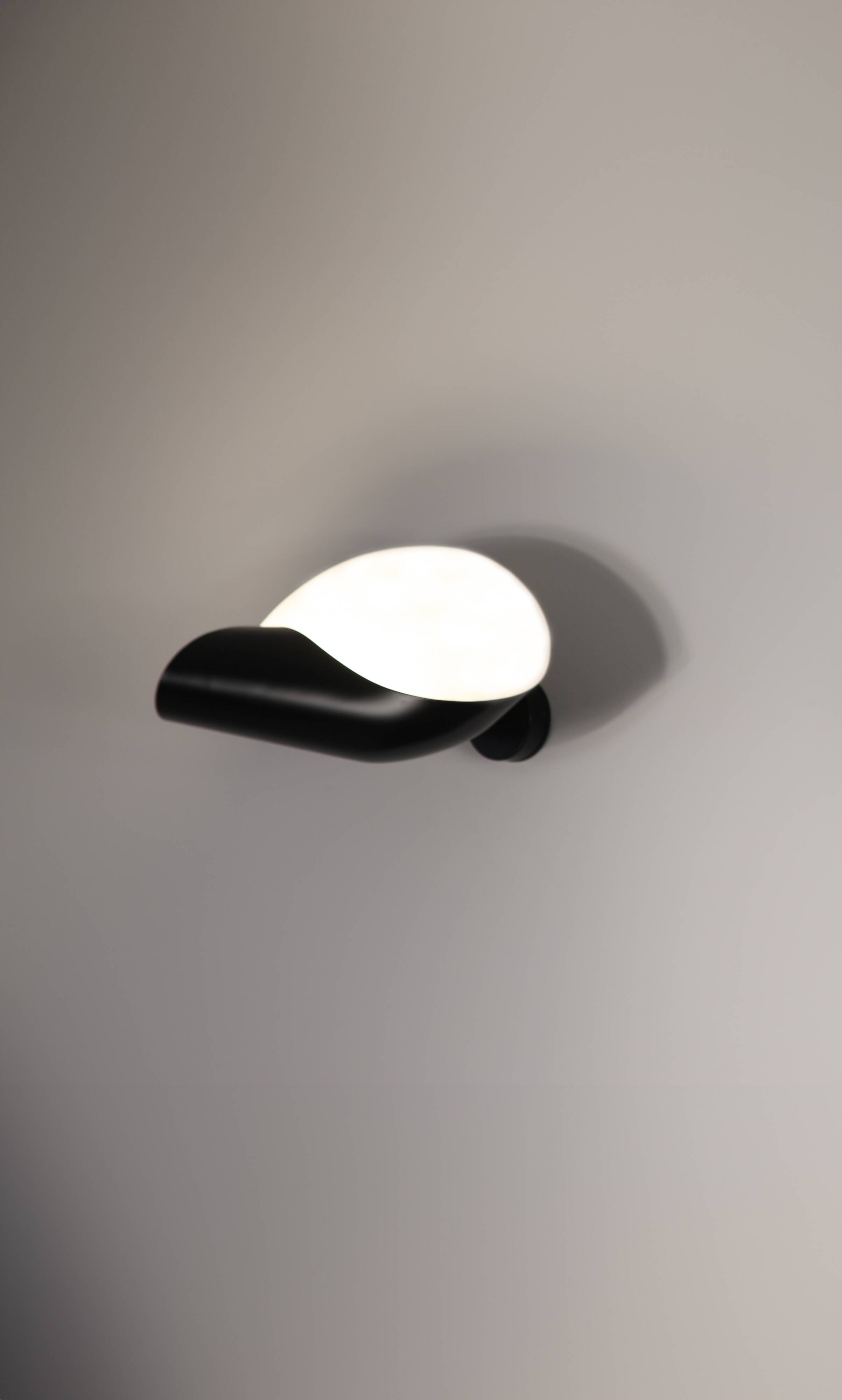 Conche Wall Lamp (Left Version)