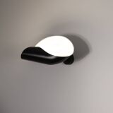 Conche Wall Lamp (Left Version)