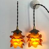 Duo of glass roses on hooks
