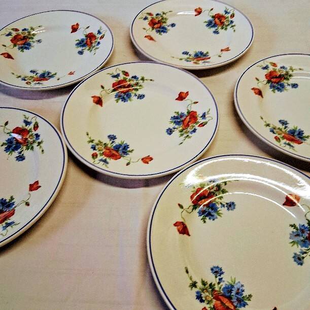 6 flat plates from Salins les Bains, "Poppies" pattern, in very good condition