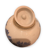 Asian porcelain covered pot