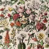 Lithograph on flowers (trees and shrubs) - 1930