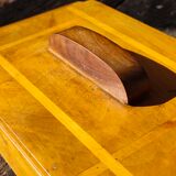 Box in olive tree