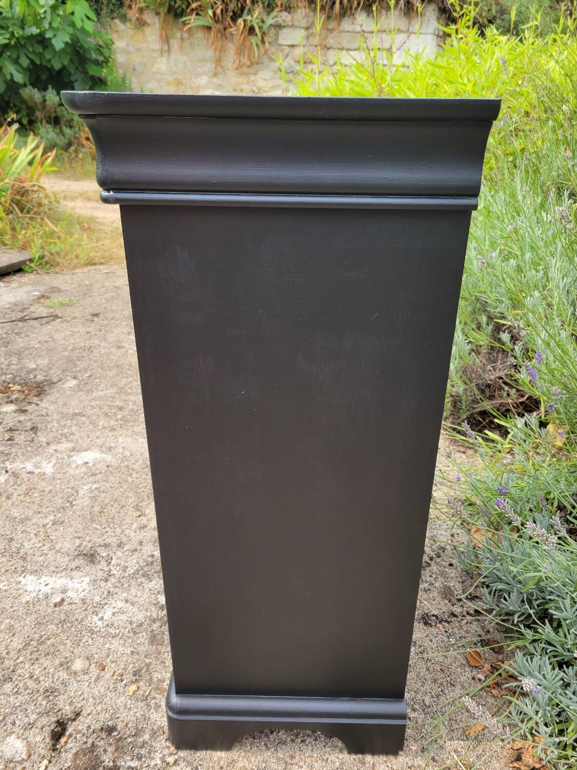 Louis Hilippe black chiffonier