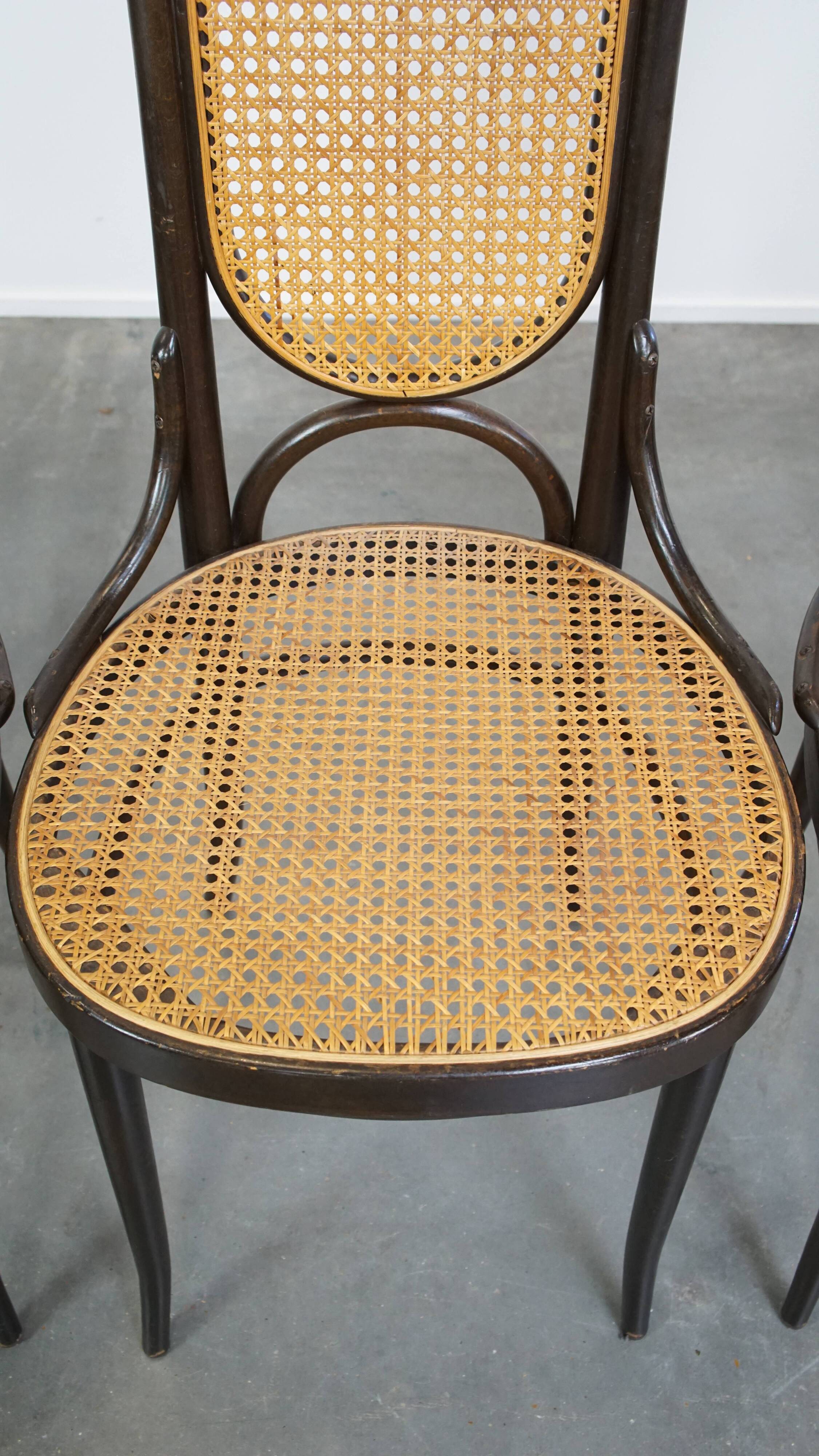 Lot de 4 chaises hautes vintage en bois courbé « Long John » de Thonet