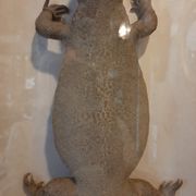 naturalized tail-whip lizard