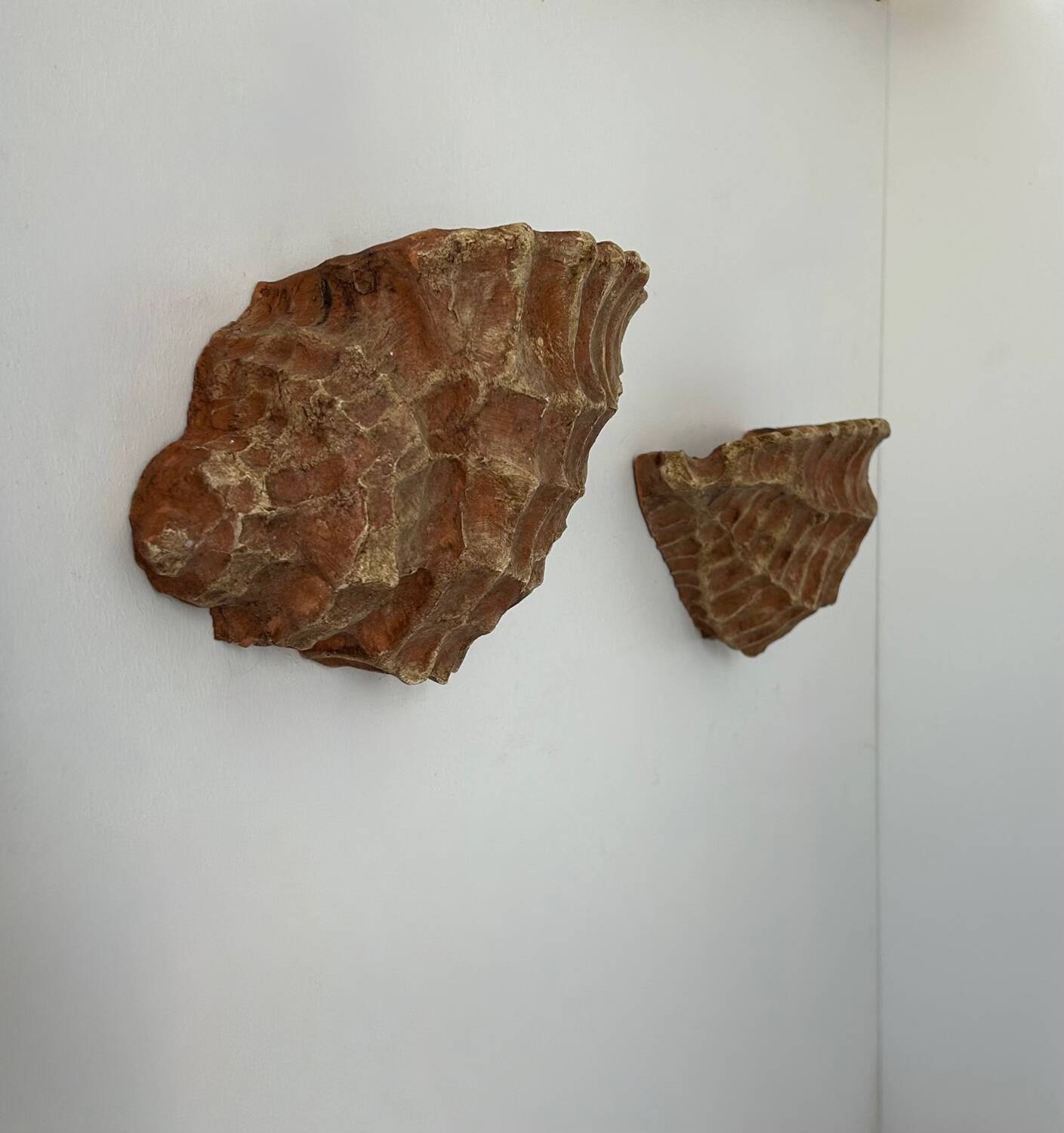 Pair of vintage terracotta shell wall lights