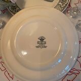 Set of 2 Mason's ironstone dinner plates