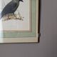 Antique painting
