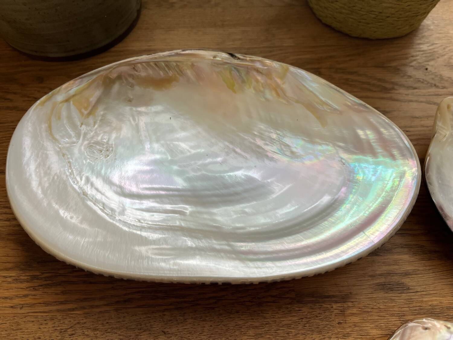 Set of mother-of-pearl shells