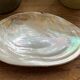 Set of mother-of-pearl shells