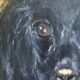 Vintage original dog portrait oil paintings set