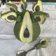 Barbotine-style avocado and 6 avocado spoons Vintage 80 Siléa