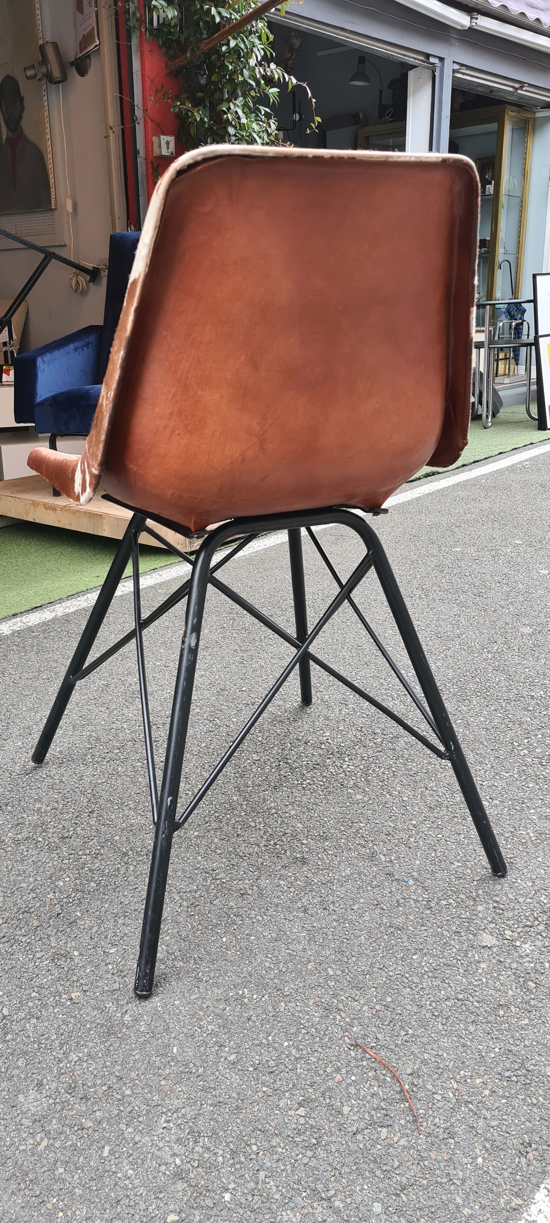 Sete of 6 cow haid chairs