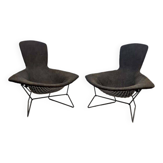 Fauteuil vintage "Oiseau" Harry Bertoia Knoll International