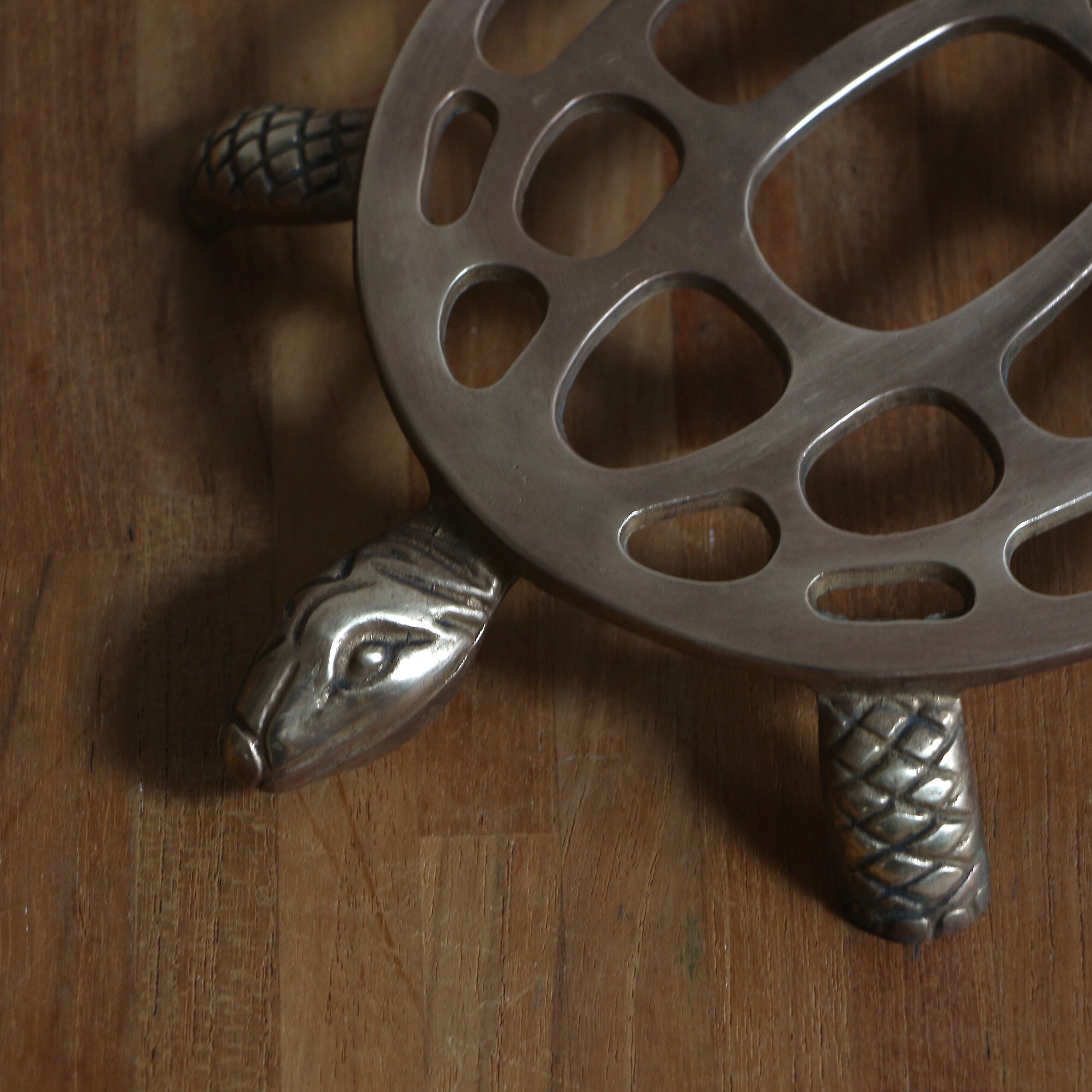 Turtle trivets
