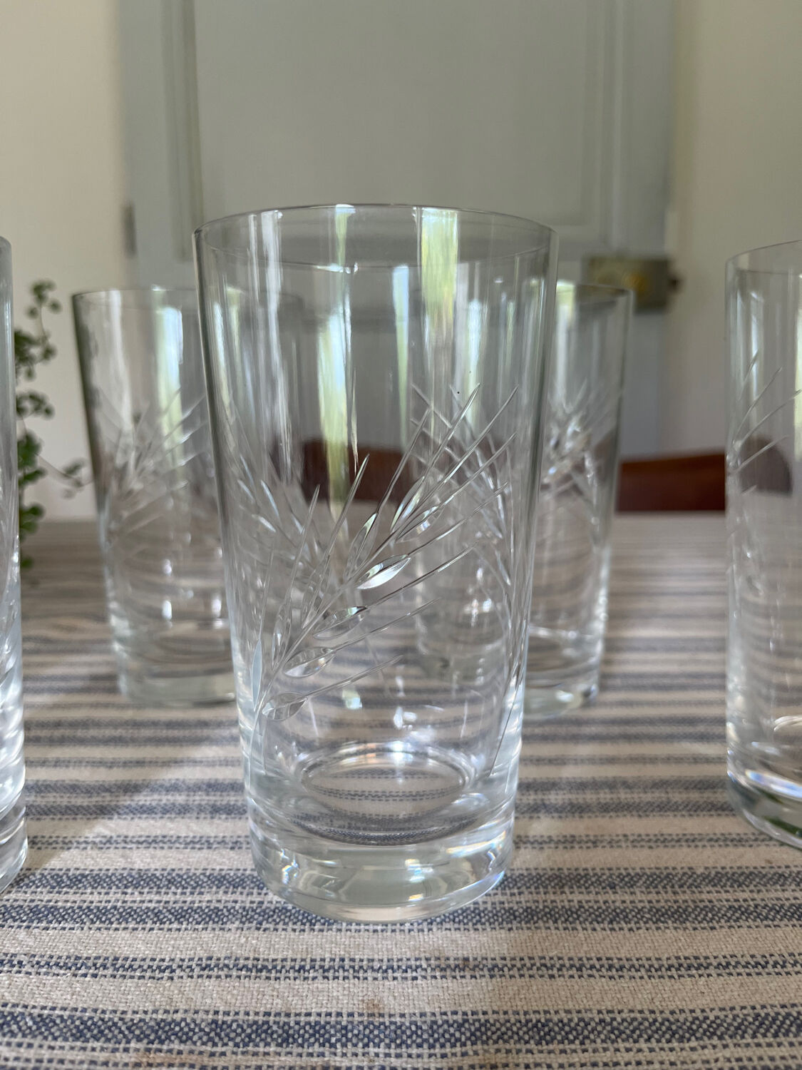 Crystal lenses pattern ears x6