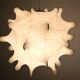 Suspension Teraxacum par Achille & Pier Giacomo Castiglioni pour -1960s